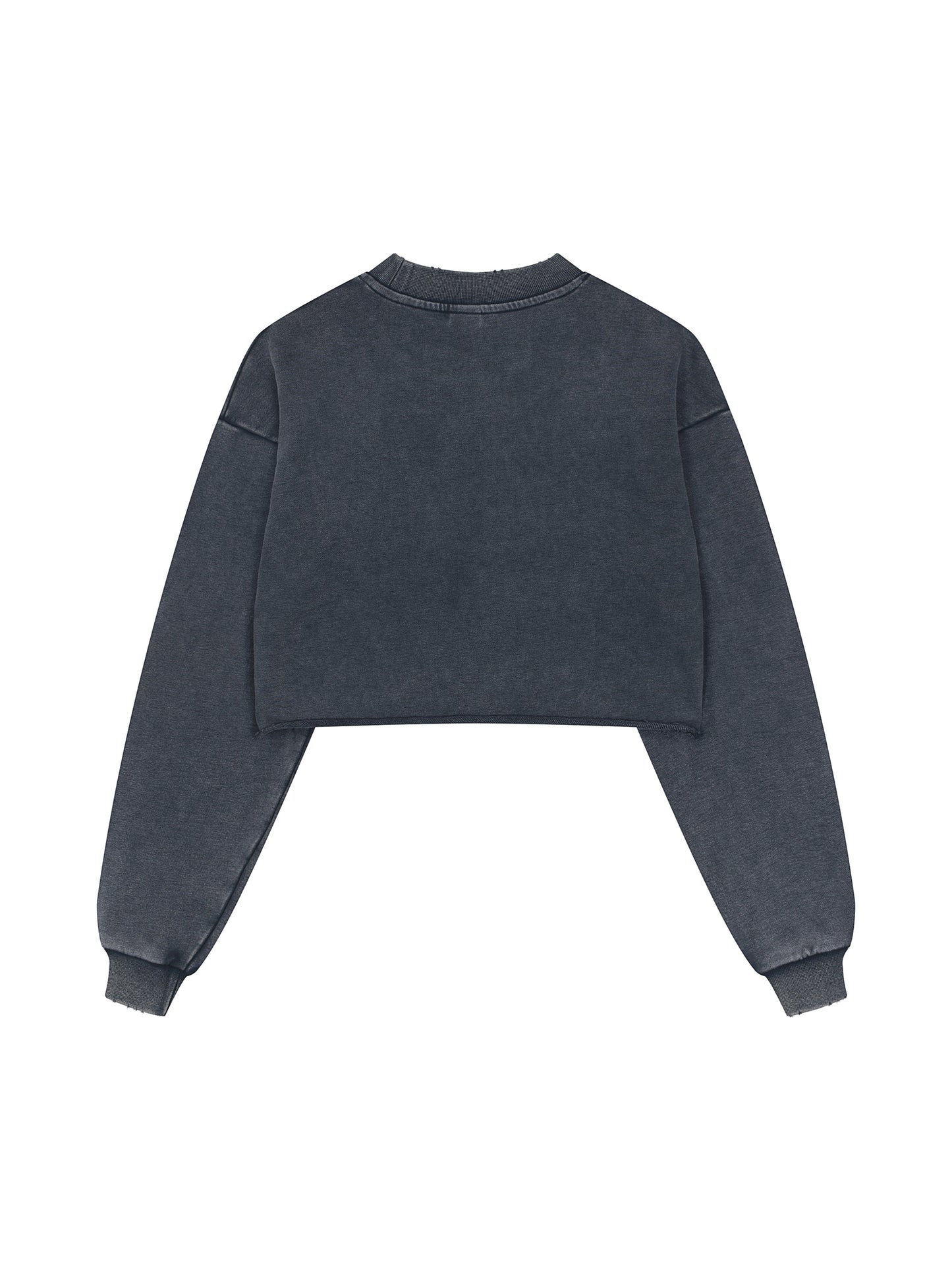 Edge Cropped Sweatshirt